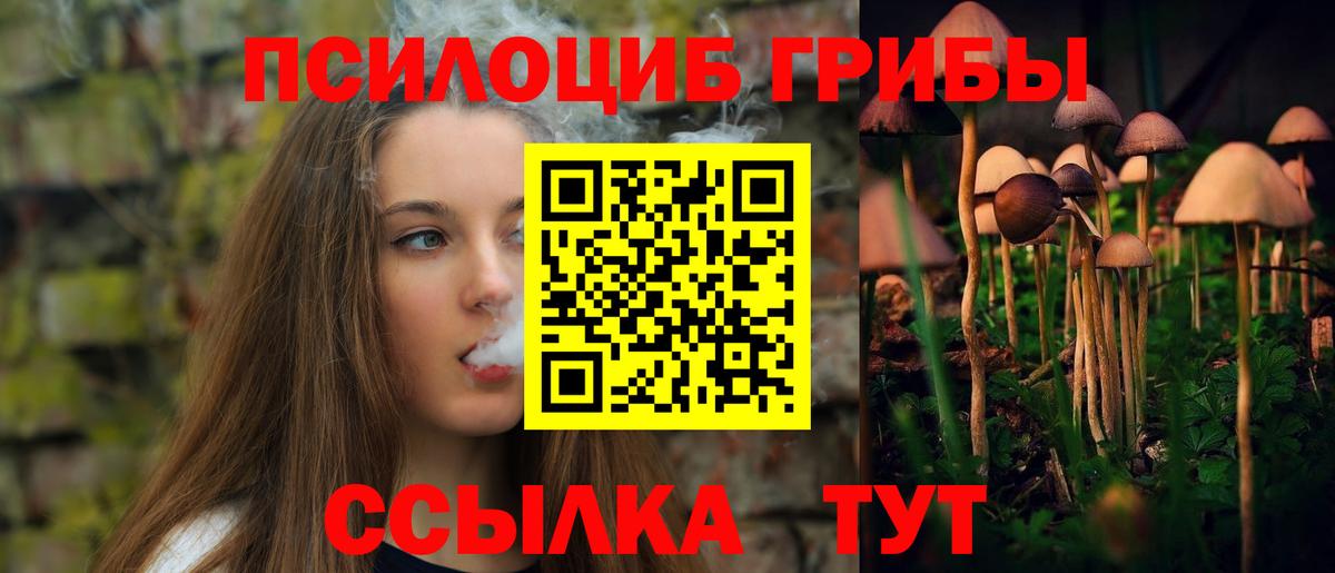 Галлюциногенные грибы Psilocybe Рославль